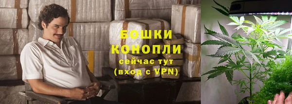мяу мяу мука Инта