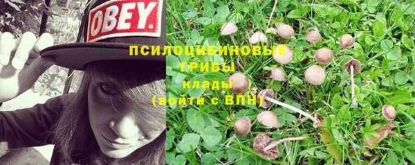 герыч Иннополис
