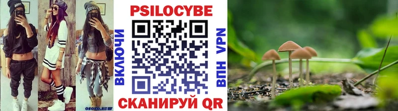 Псилоцибиновые грибы Cubensis  Купить  Северобайкальск 