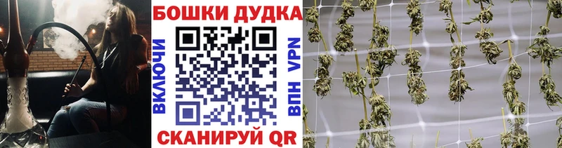 Бошки Шишки White Widow  Купить где  Северобайкальск 